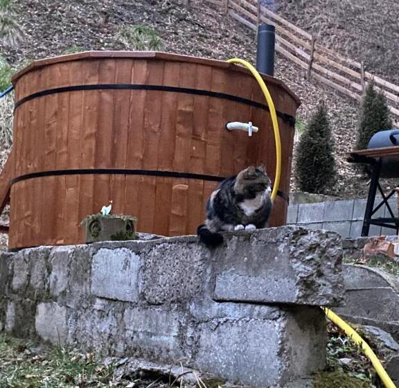 צימר Căsuța Din Pădure