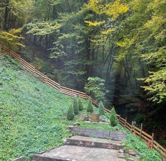 تختخواب و صبحانه Căsuța Din Pădure