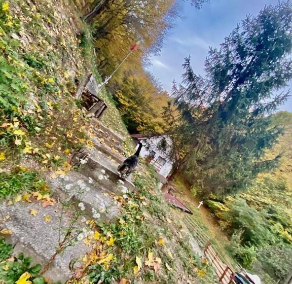 צימר Căsuța Din Pădure