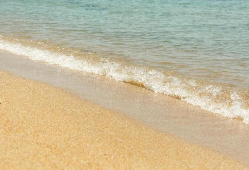 فندق 直島町ふるさと海の家 つつじ荘 Seaside Park Stay Tsutsujiso