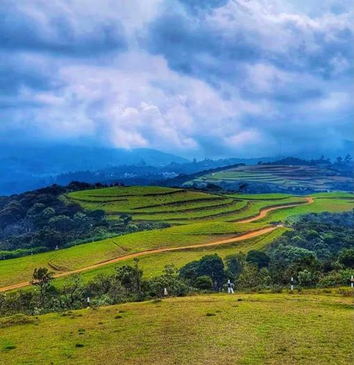 Отель Fort Windshire