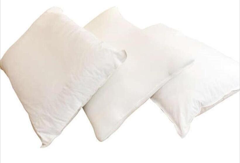 Green Rich Hotel Matsue Station Across   Artificial Hot Spring Futamata Yunohana