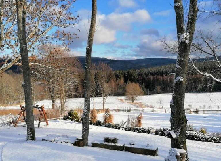 ホテル Penzion U Vlčí Stezky