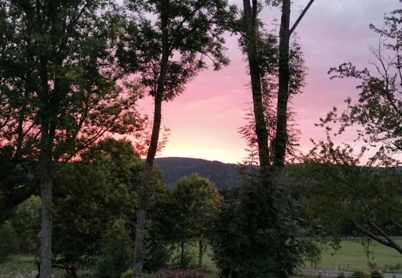 ホテル Penzion U Vlčí Stezky