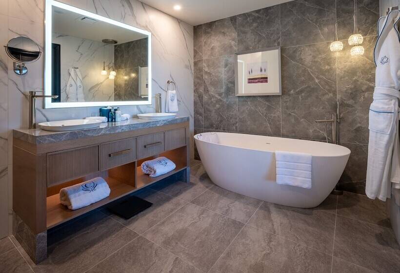 هتل The Carlin Boutique