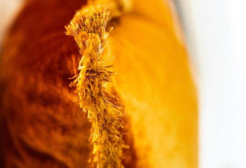 호텔 The Snug Townhouse