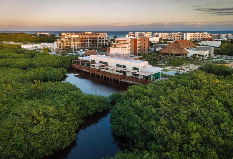 Отель Ventus Ha At Marina El Cid Spa & Beach Resort All Inclusive