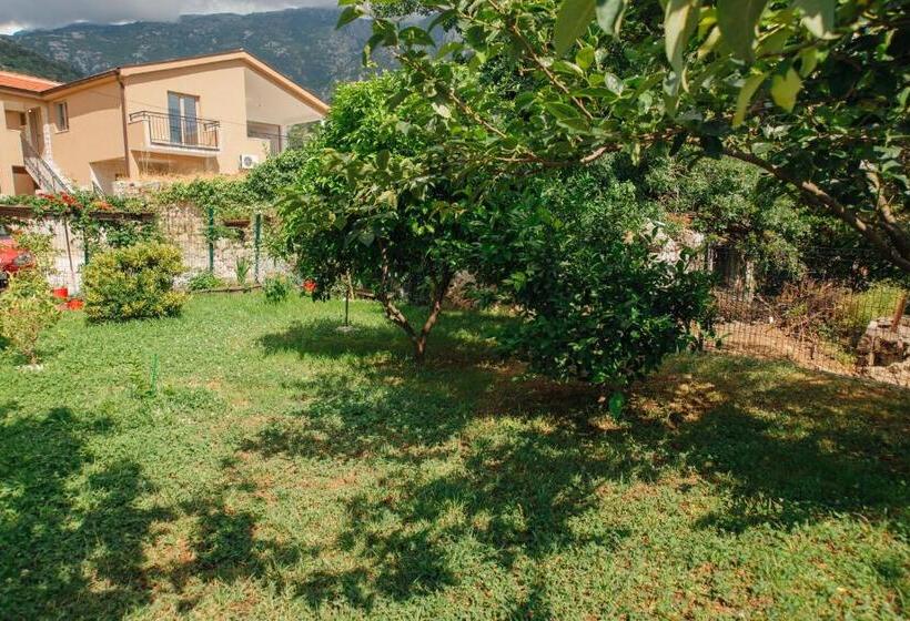 La Mer Apartments Kotor