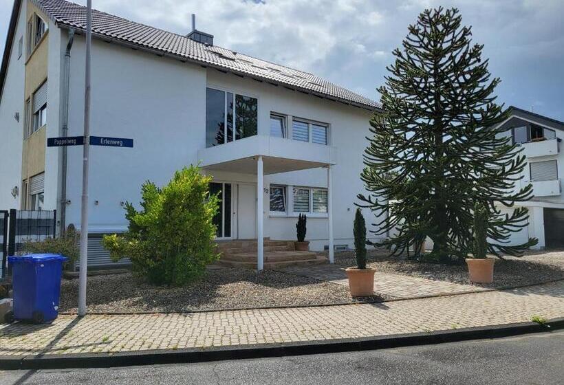 Lounge 5 Singleapartment