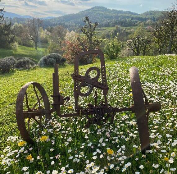 Lovely Apartment In Nature With Infrared Sauna!