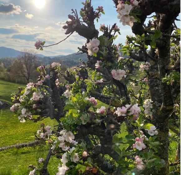 Lovely Apartment In Nature With Infrared Sauna!