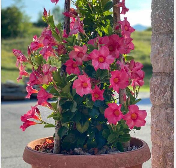 Lovely Apartment In Nature With Infrared Sauna!