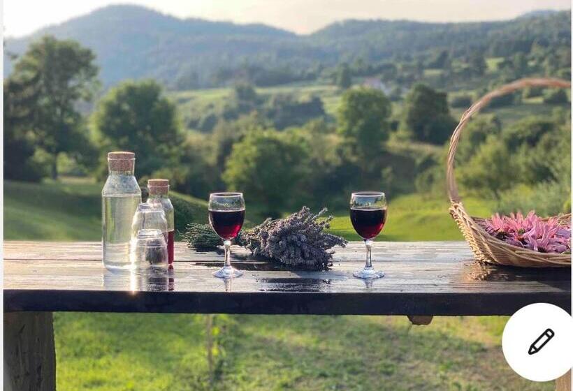 Lovely Apartment In Nature With Infrared Sauna!