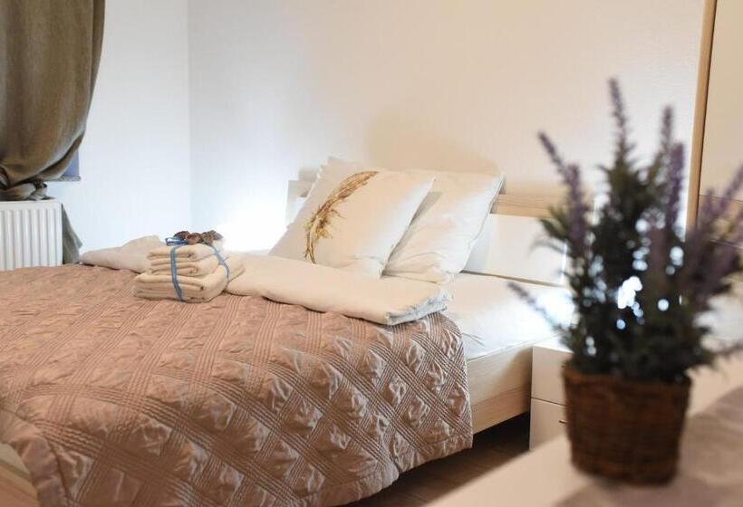 پانسیون Cirić Apartmani