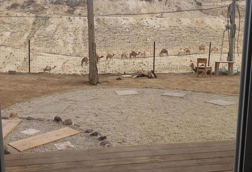 Пансион Moonlight Suite Arad צימר אור הירח, ערד