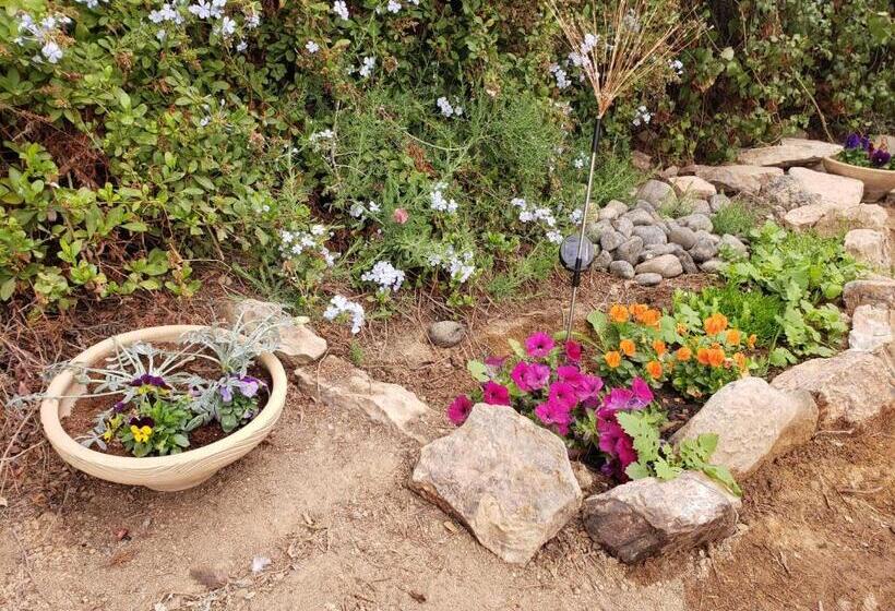 Пансион Moonlight Suite Arad צימר אור הירח, ערד