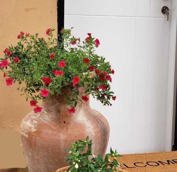 Пансион Moonlight Suite Arad צימר אור הירח, ערד