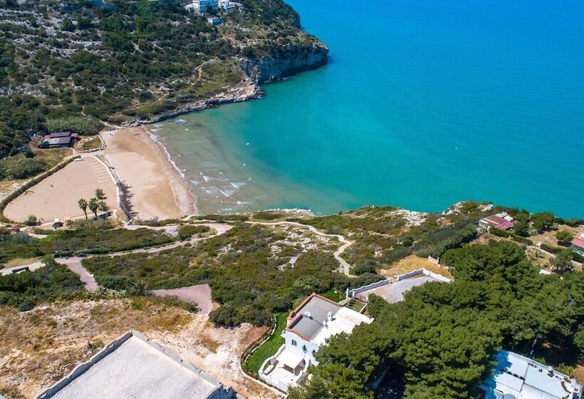 Villa D`aria By Barbarhouse