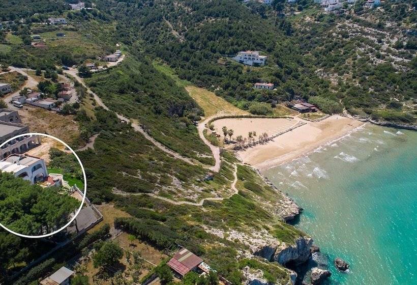 Villa D`aria By Barbarhouse