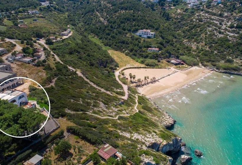 Villa D`aria By Barbarhouse