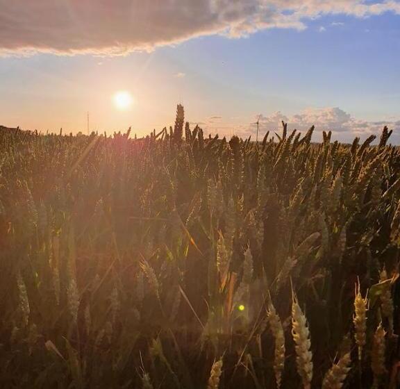 Villa Vemmentorp Körsbärsblomsvillan 6 Min Från Havet