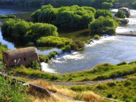 A Casa Da Carolina Ii