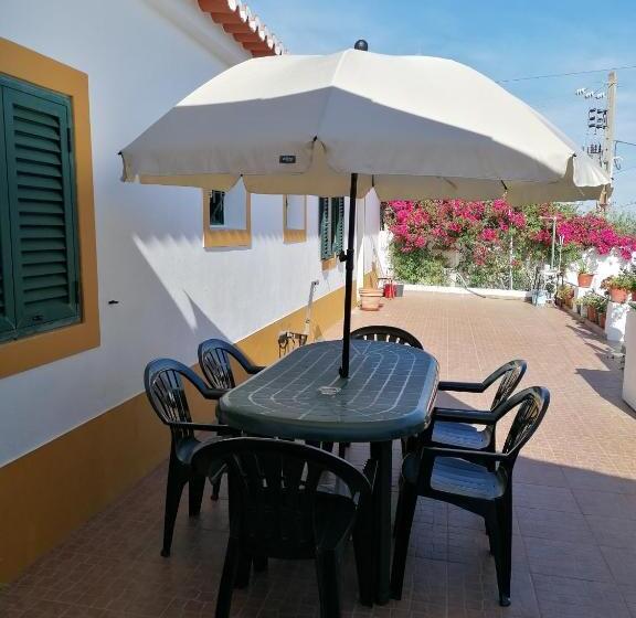 A Casa Da Carolina Ii