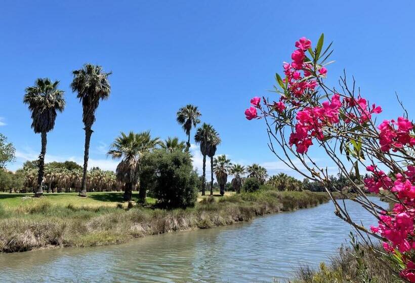 A Charming 6 Person Apartment, Golf, Surfing, Free Tennis Courts And Bicycles