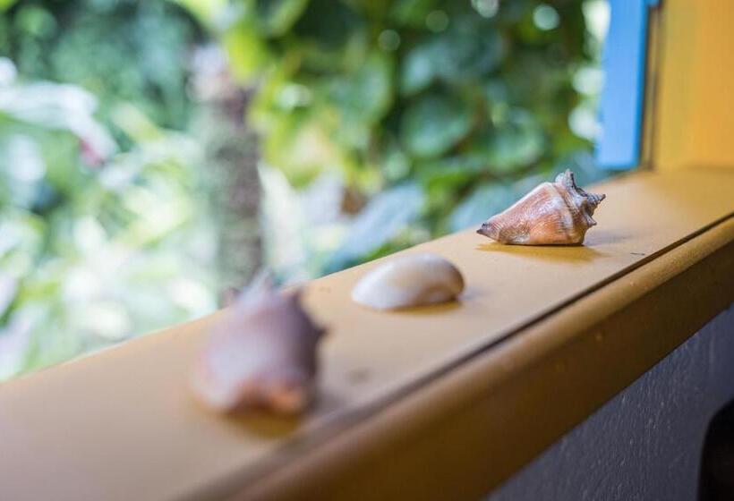 הוסטל Pousada Canoa Nativa