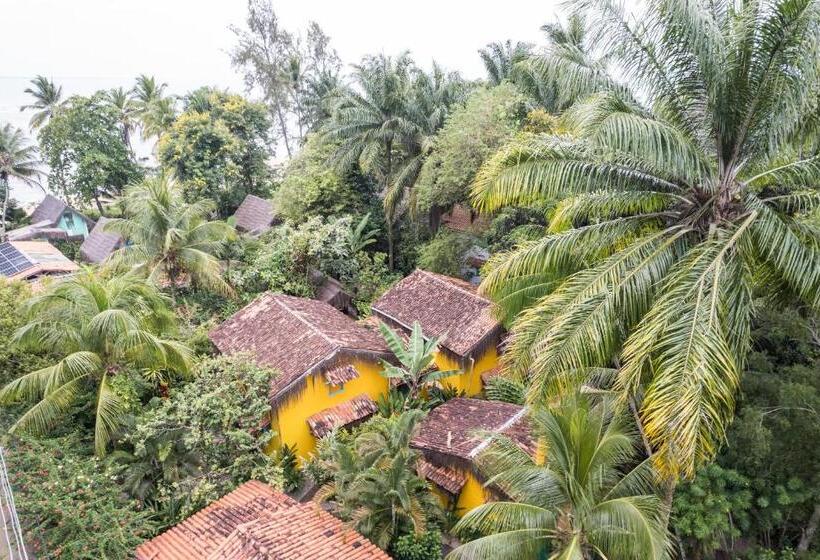 הוסטל Pousada Canoa Nativa