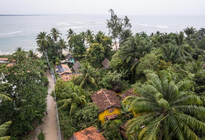 הוסטל Pousada Canoa Nativa