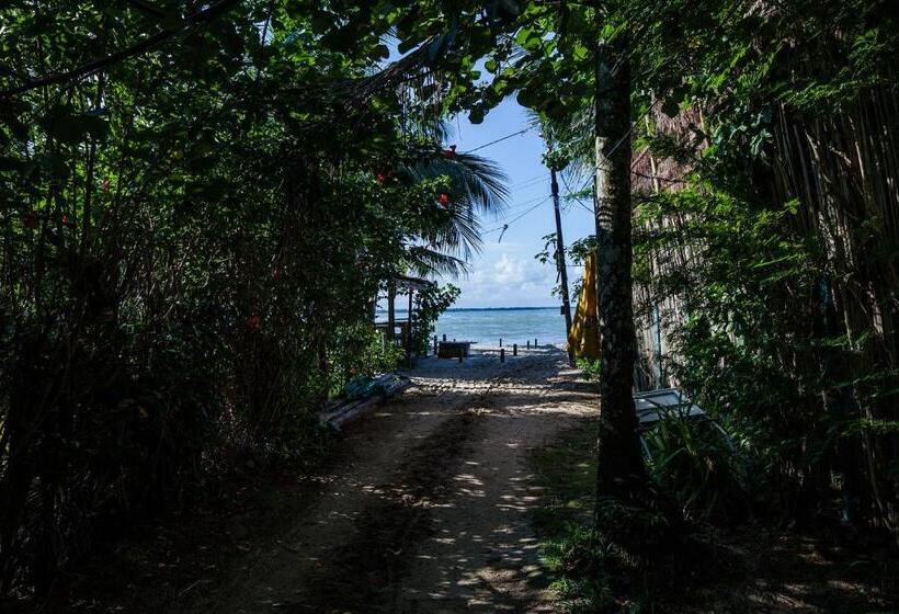 הוסטל Pousada Canoa Nativa