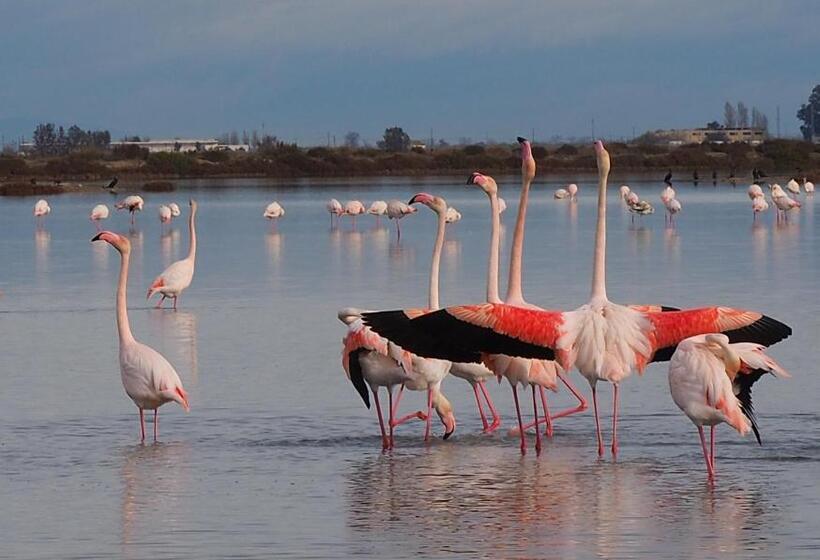 Apartamento Plaza De La Iglesia