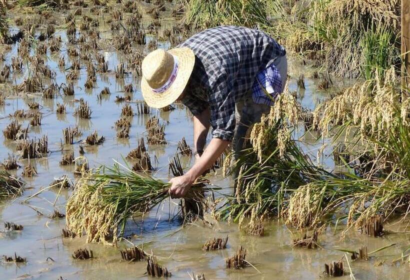 Apartamento Plaza De La Iglesia