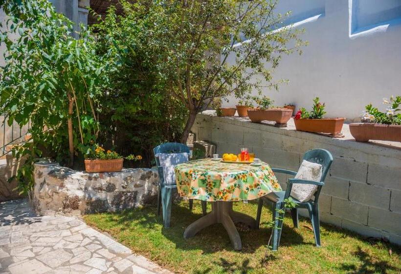 B&b Sa Domo De Sos Massaios