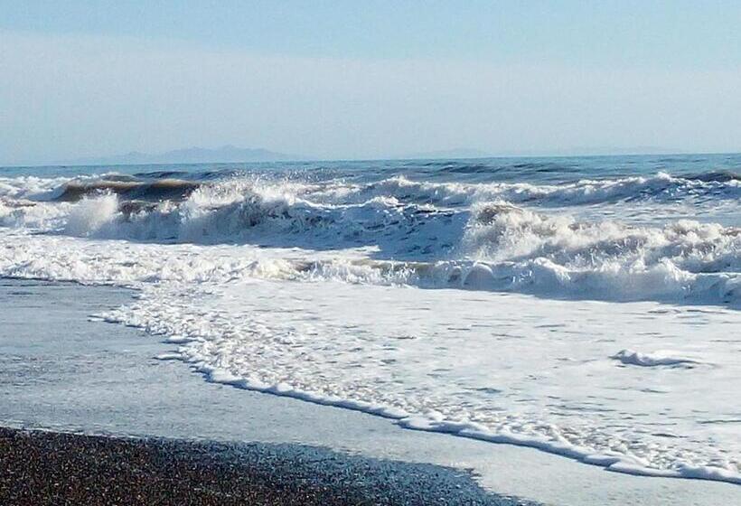 Fortunato S Apartment