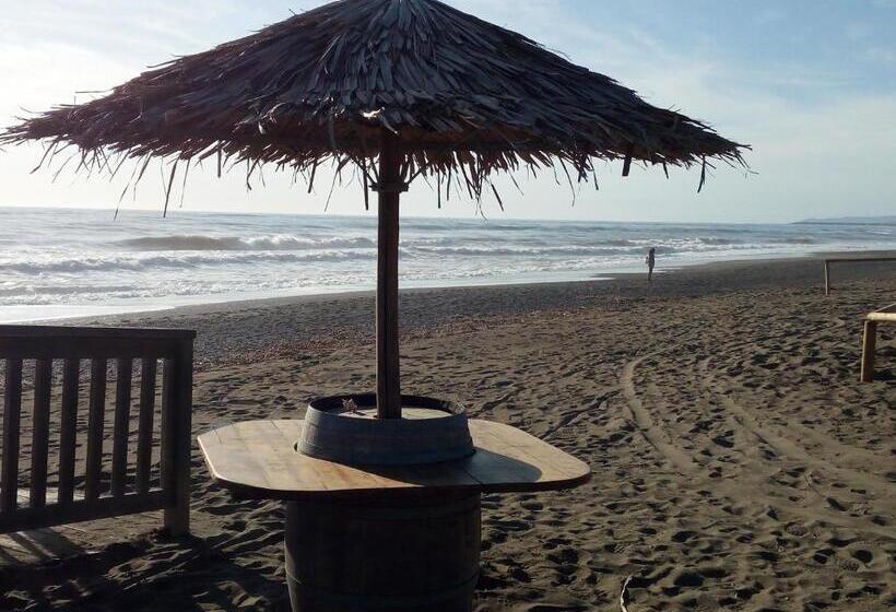 Fortunato S Apartment