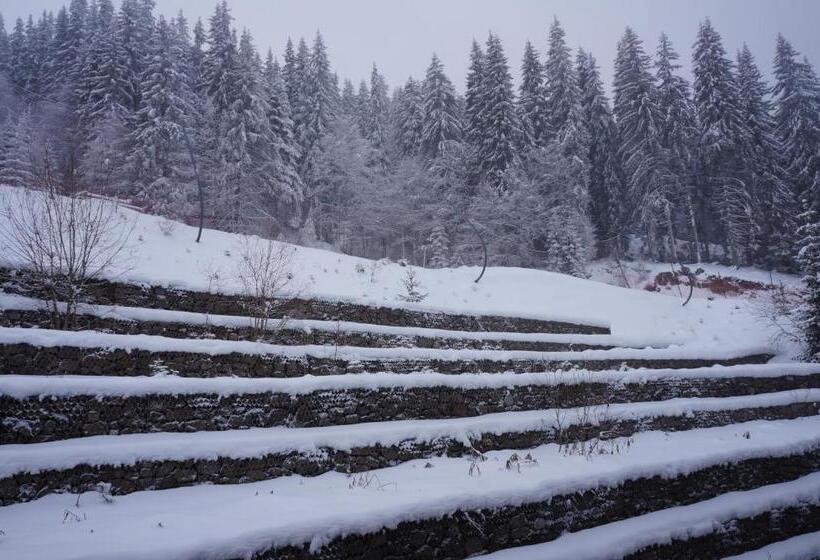 Grand Monastery Apart