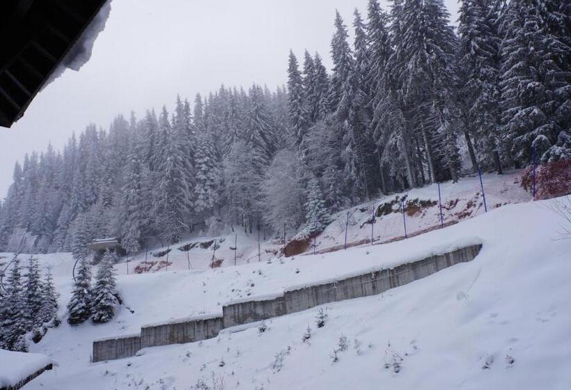 Grand Monastery Apart