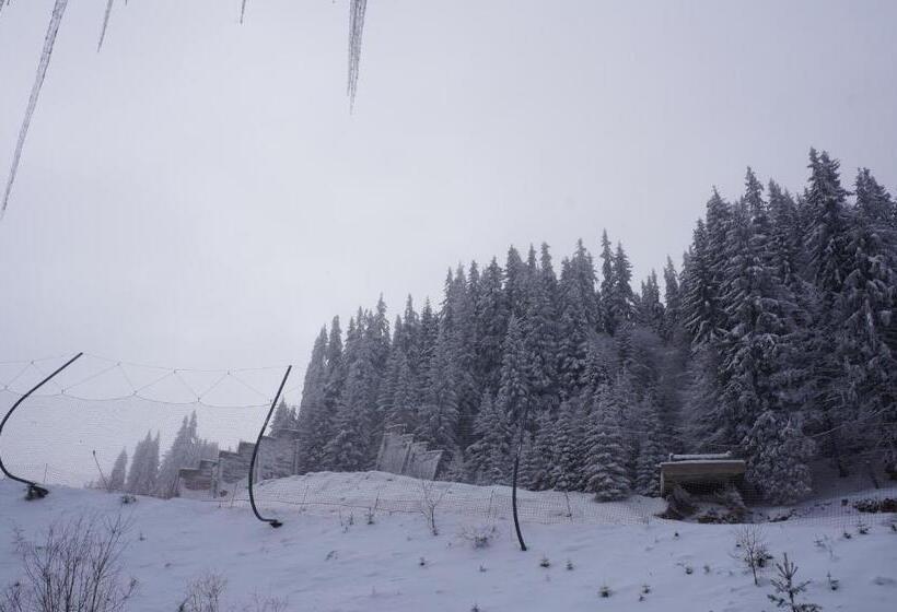 Grand Monastery Apart