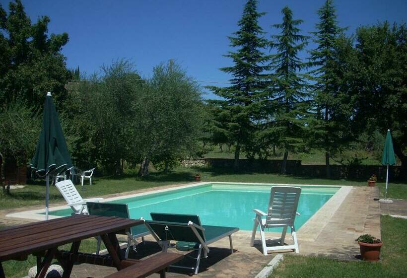 호텔 Agriturismo Il Pratone