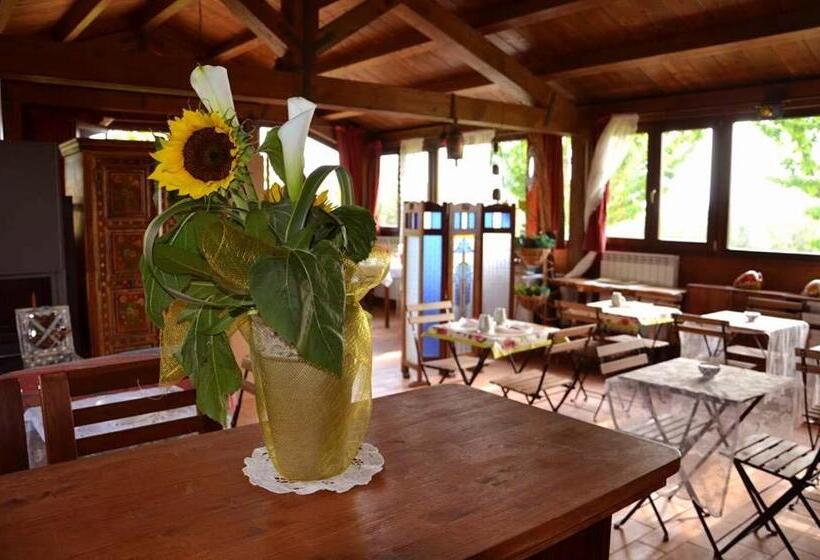 酒店 Agriturismo Le Grange