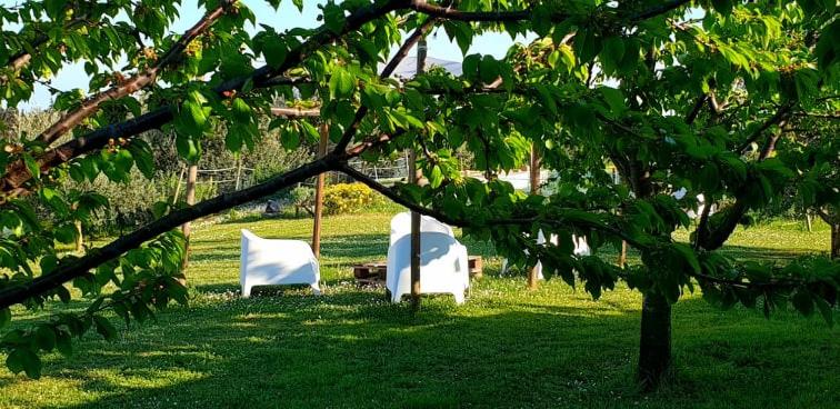 酒店 Agriturismo Le Grange