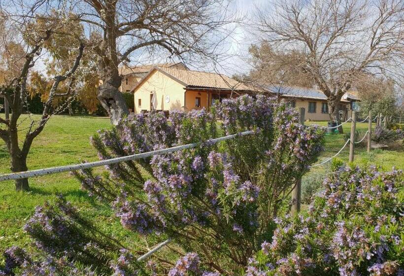 酒店 Agriturismo Le Grange