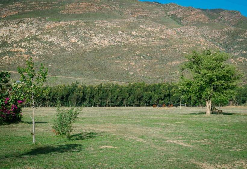 ホテル Le Rêve Boutique Hôtel