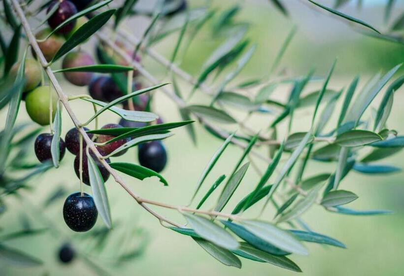 ホテル Le Rêve Boutique Hôtel