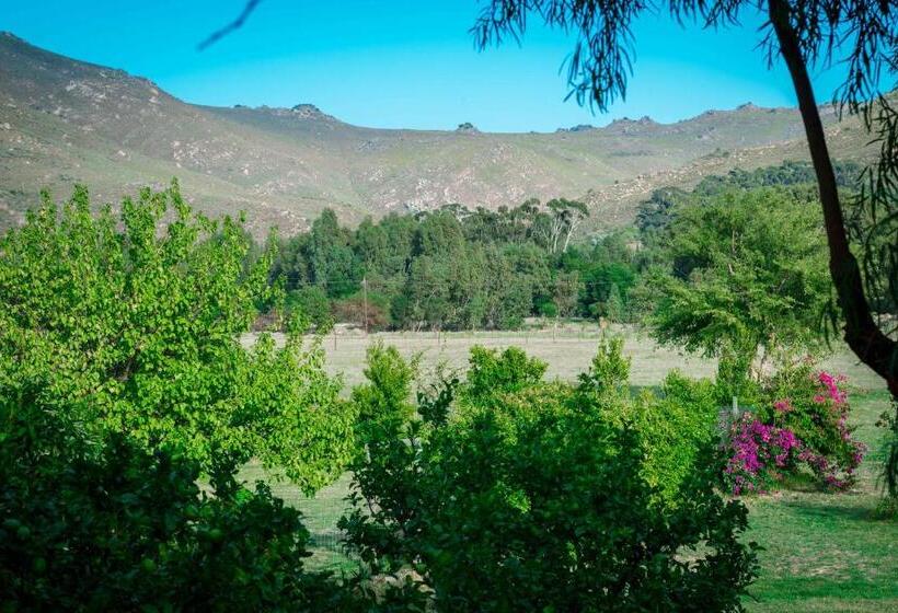 ホテル Le Rêve Boutique Hôtel