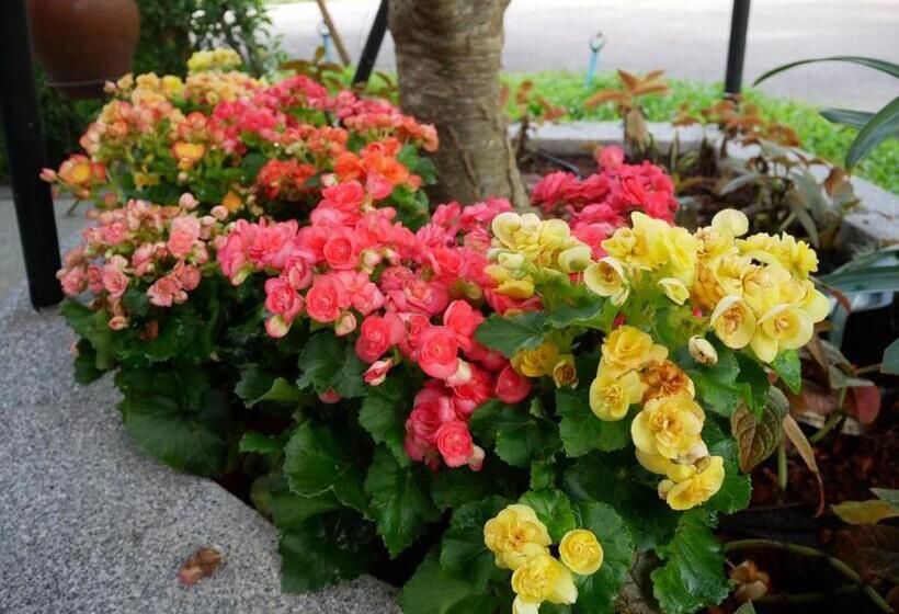 فندق Look At Home Lamphun