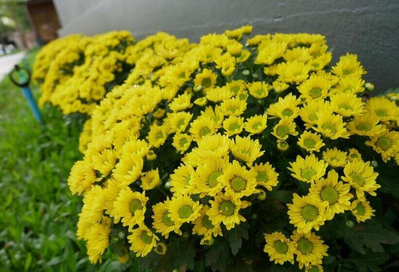 فندق Look At Home Lamphun