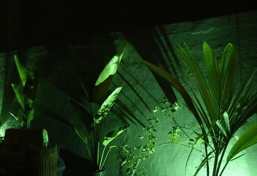 هتل Pousada Kawaii